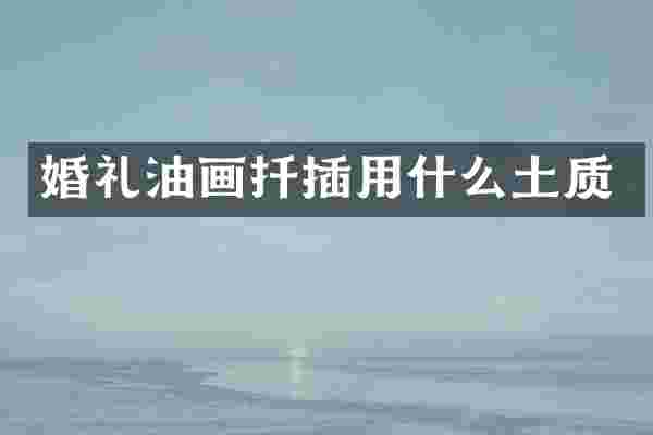 婚礼油画扦插用什么土质