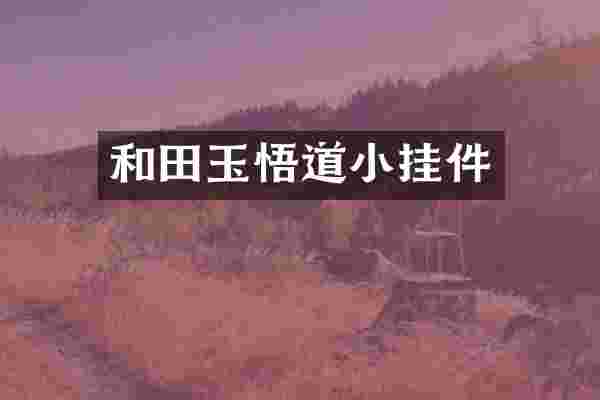 和田玉悟道小挂件