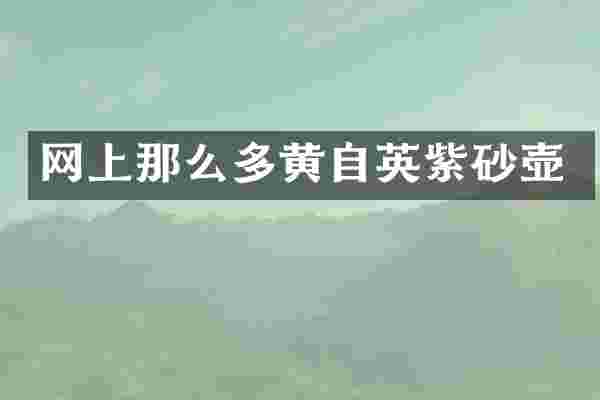 网上那么多黄自英紫砂壶