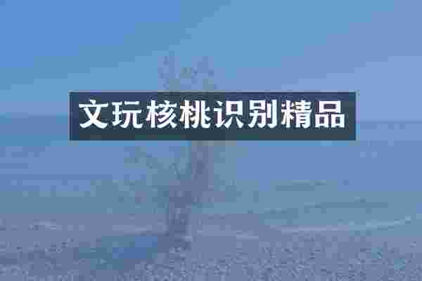 文玩核桃识别精品