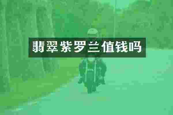 翡翠紫罗兰值钱吗