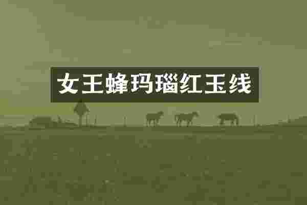 女王蜂玛瑙红玉线