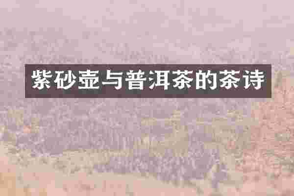 紫砂壶与普洱茶的茶诗