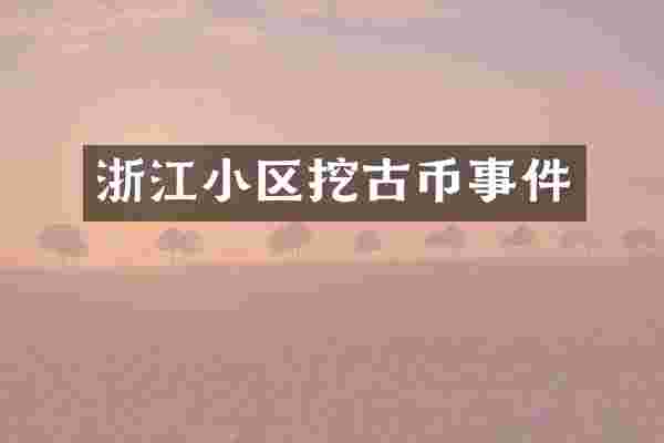 浙江小区挖古币事件