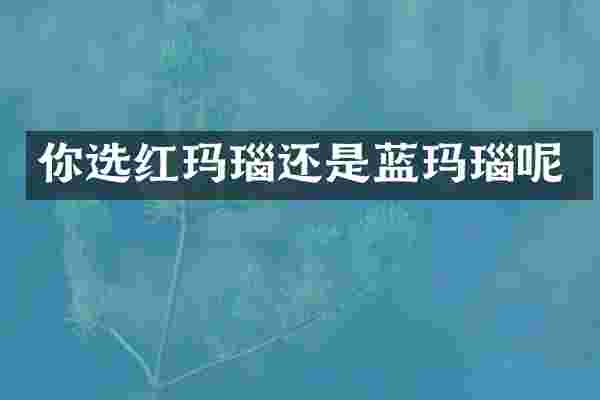 你选红玛瑙还是蓝玛瑙呢
