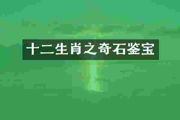 十二生肖之奇石鉴宝