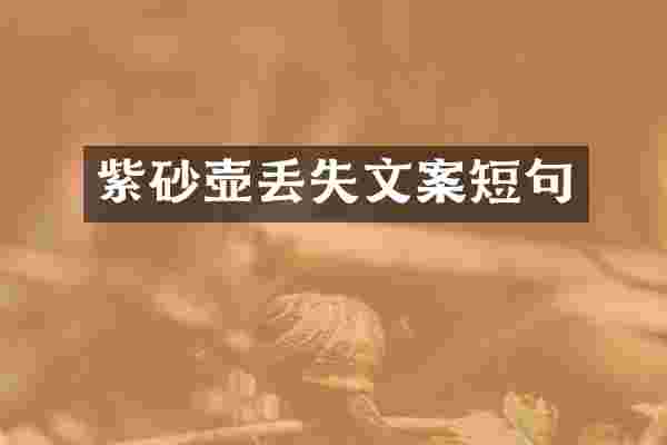 紫砂壶丢失文案短句