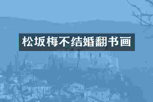 松坂梅不结婚翻书画