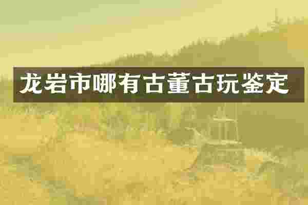 龙岩市哪有古董古玩鉴定
