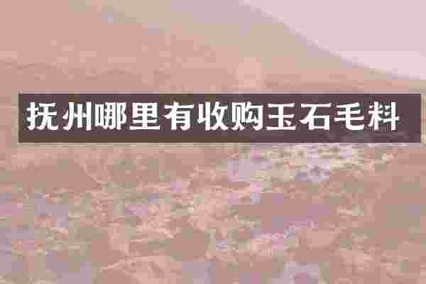 抚州哪里有收购玉石毛料