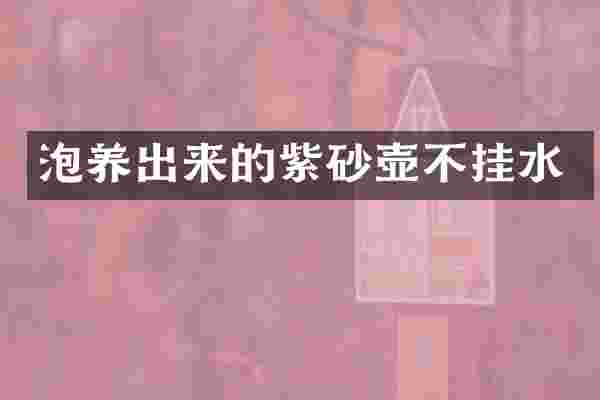 泡养出来的紫砂壶不挂水