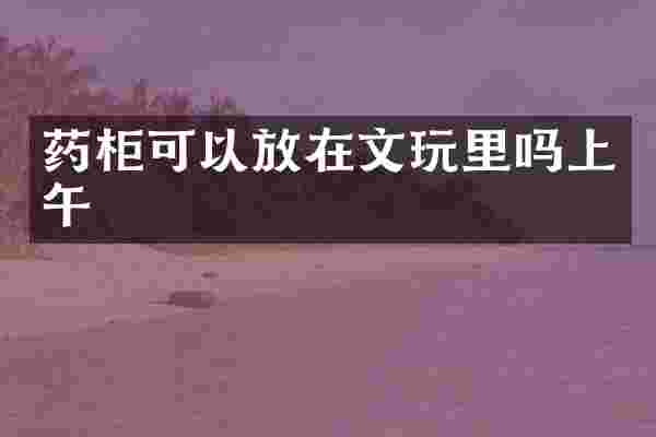 药柜可以放在文玩里吗上午