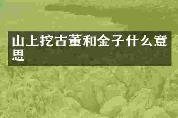 山上挖古董和金子什么意思