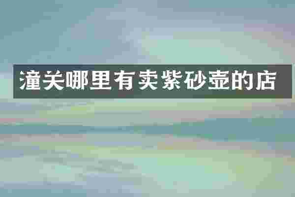 潼关哪里有卖紫砂壶的店