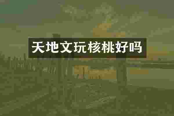 天地文玩核桃好吗