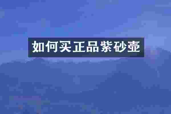 如何买正品紫砂壶