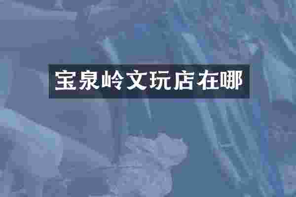 宝泉岭文玩店在哪