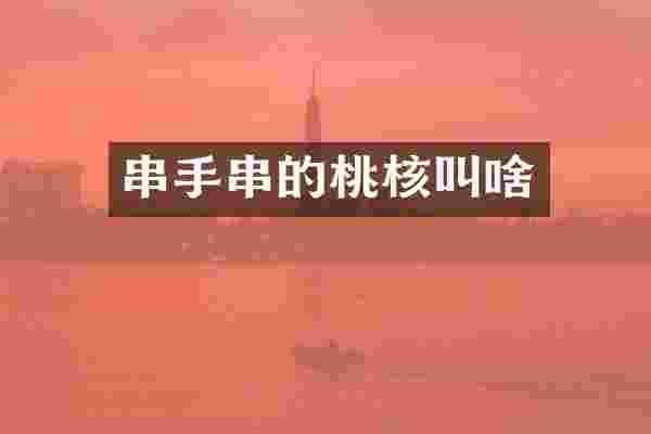 串手串的桃核叫啥