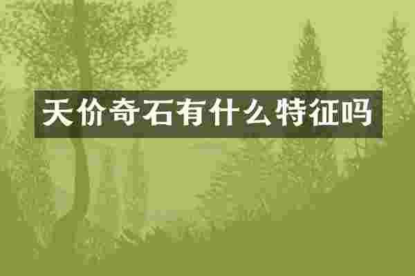天价奇石有什么特征吗
