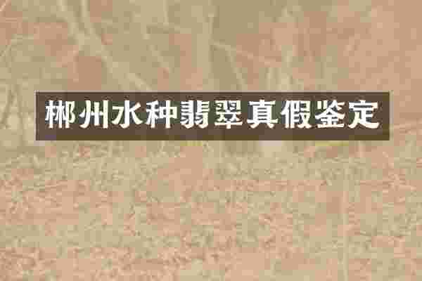 郴州水种翡翠真假鉴定