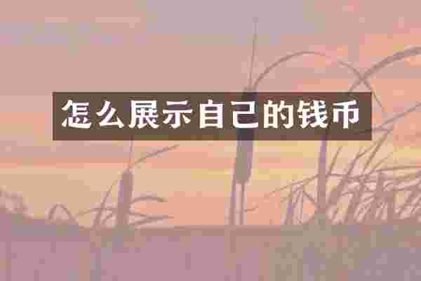 怎么展示自己的钱币