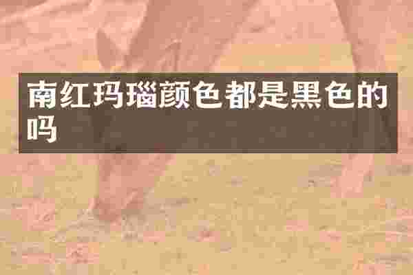 南红玛瑙颜色都是黑色的吗
