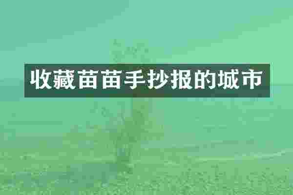 收藏苗苗手抄报的城市