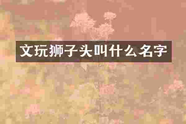 文玩狮子头叫什么名字