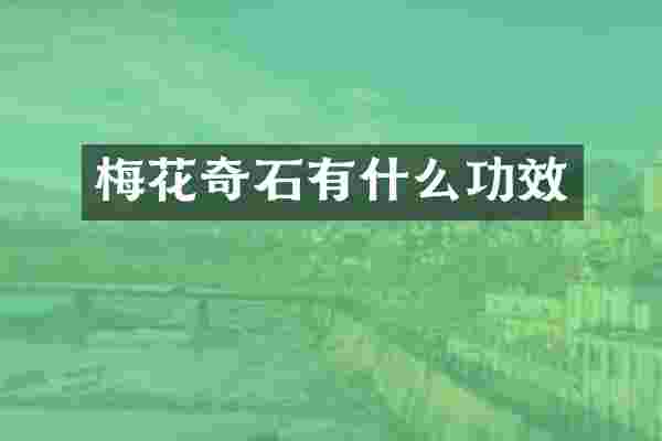 梅花奇石有什么功效