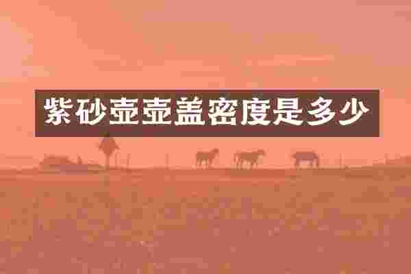 紫砂壶壶盖密度是多少