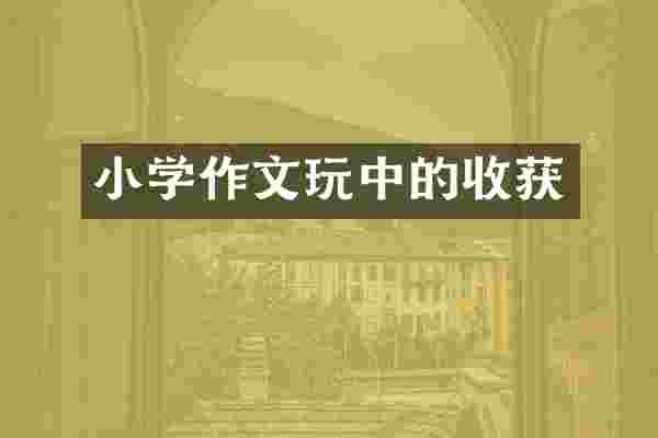 小学作文的收获