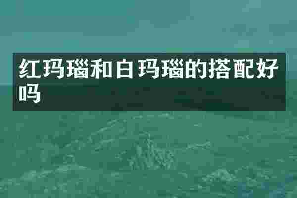 红玛瑙和白玛瑙的搭配好吗