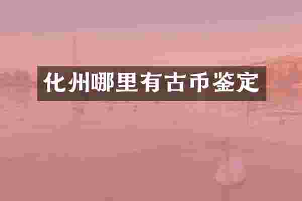 化州哪里有古币鉴定