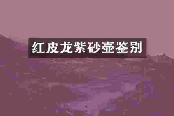 红皮龙紫砂壶鉴别