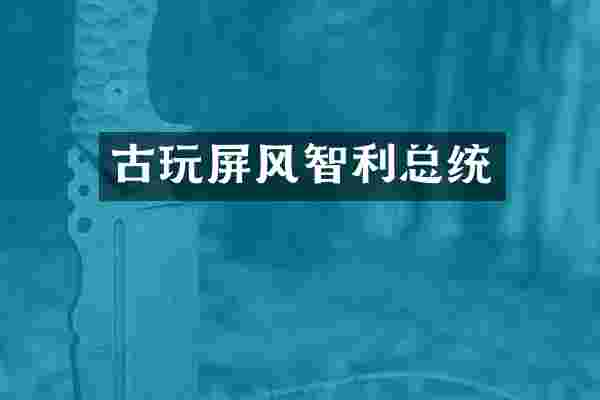 古玩屏风智利总统