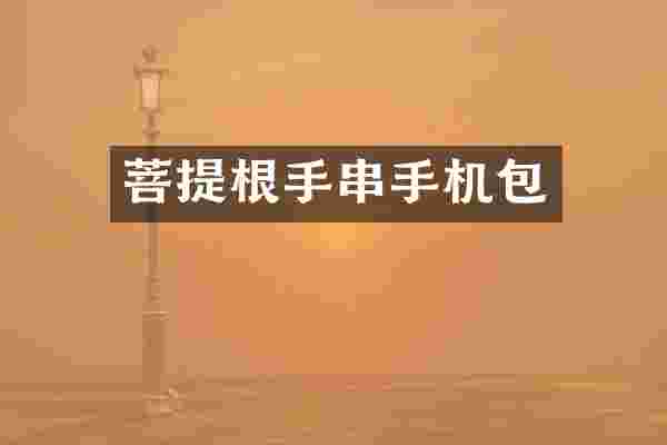 菩提根手串手机包