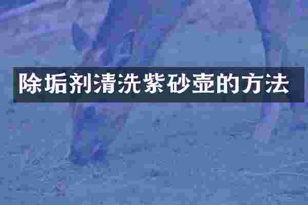 除垢剂清洗紫砂壶的方法