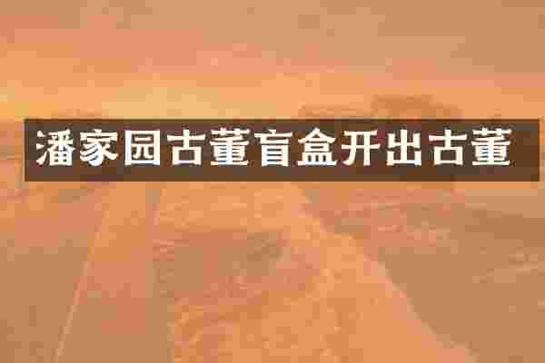 潘家园古董盲盒开出古董