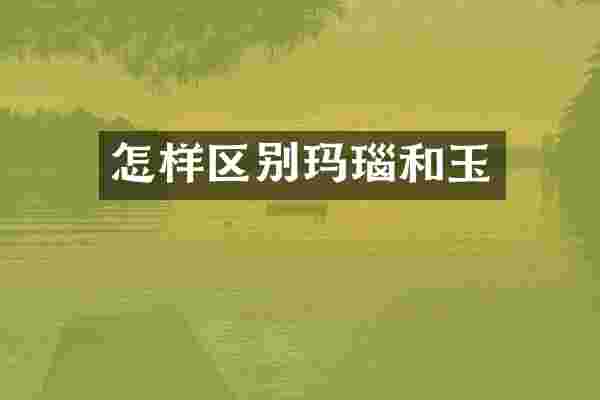 怎样区别玛瑙和玉