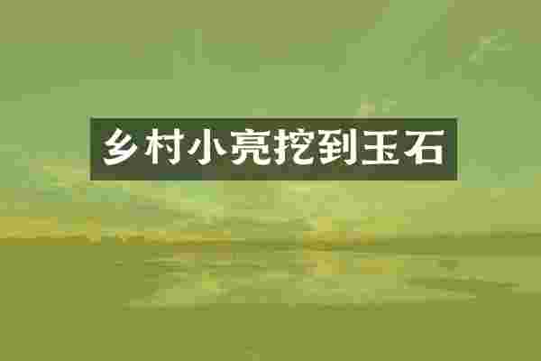 乡村小亮挖到玉石