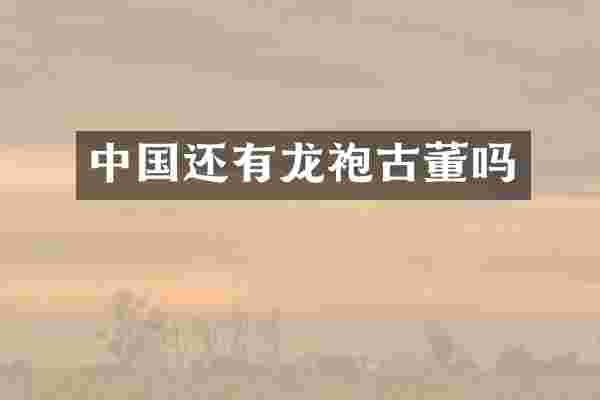 中国还有龙袍古董吗