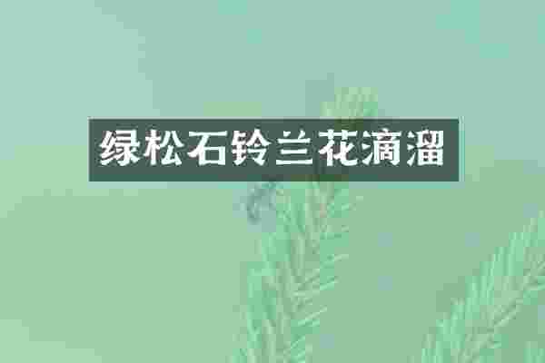绿松石铃兰花滴溜