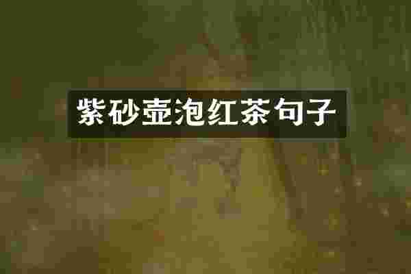 紫砂壶泡红茶句子