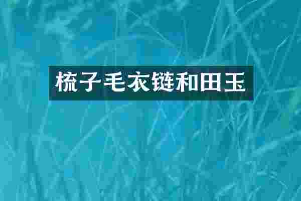 梳子毛衣链和田玉