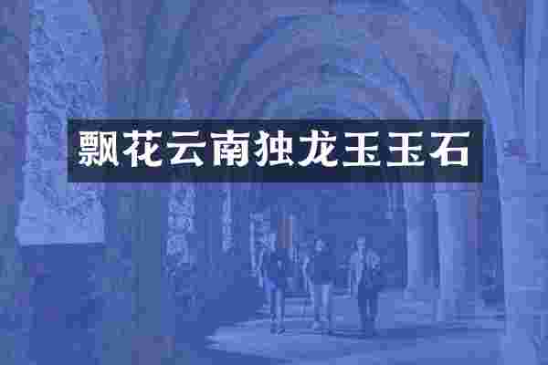 飘花云南独龙玉玉石