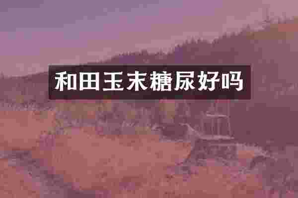 和田玉末糖尿好吗