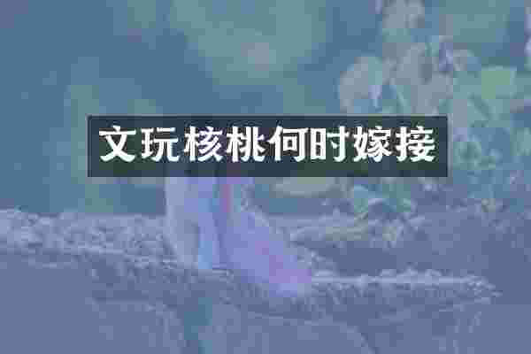 文玩核桃何时嫁接