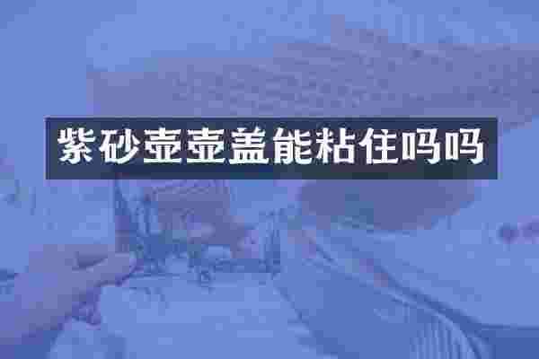 紫砂壶壶盖能粘住吗吗