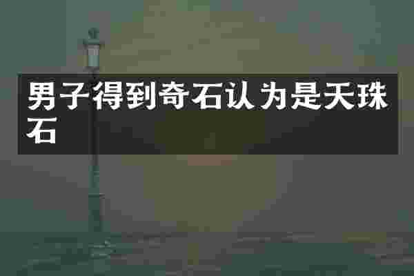 男子得到奇石认为是天珠石