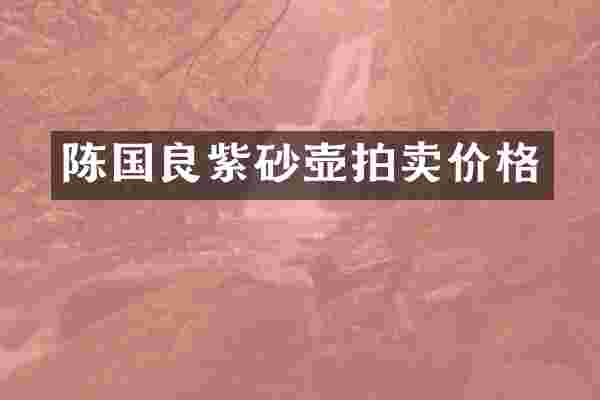 陈国良紫砂壶拍卖价格